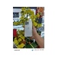 ĐTDĐ Apple iPhone 15 Pro Max 256GB White Titanium_MU783VN/A - Cũ