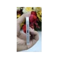ĐTDĐ Apple iPhone 12 64GB White_MGJ63VN/A - 353905996035195 - IPH1264W - Cũ