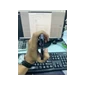 ĐTDĐ Apple iPhone 14 Pro Max 256GB - Cũ - 357853683302237 - IPC14M256 - Cũ