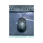 Chuột gaming có dây MSI FORGE GM100 (màu đen) - S120402310HH910442000371 - MSIGM100 - Cũ