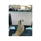 ĐTDĐ Samsung A37 5G, SM-A376B/DS, 8+128, TN - 351129970206589 - Cũ