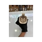 Loa Bluetooth Xiaomi Sound Outdoor Gold S29H - Cũ