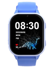 Đồng hồ Wonlex CT19