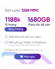 SIM VNSKY - Bộ KIT 12SKY99C