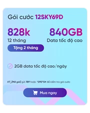 SIM VNSKY - Bộ KIT 12SKY69D
