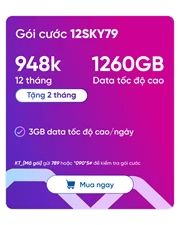 SIM VNSKY - Bộ KIT 12SKY79