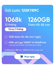 SIM VNSKY - Bộ KIT 12SKY89C